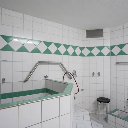 Terrassenpark 160 Schonach im Schwarzwald